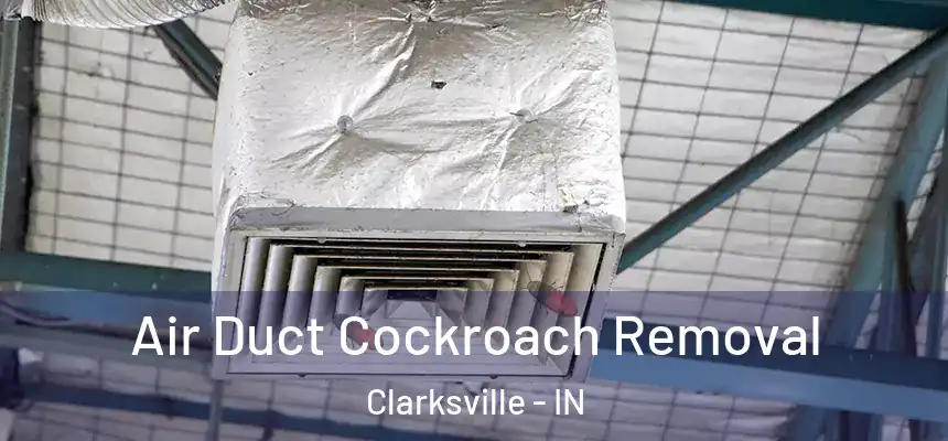  Air Duct Cockroach Removal Clarksville - IN