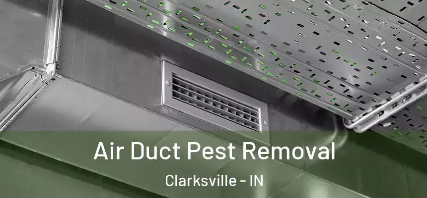 Air Duct Pest Removal Clarksville - IN