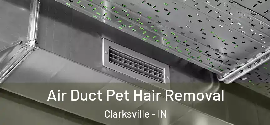  Air Duct Pet Hair Removal Clarksville - IN