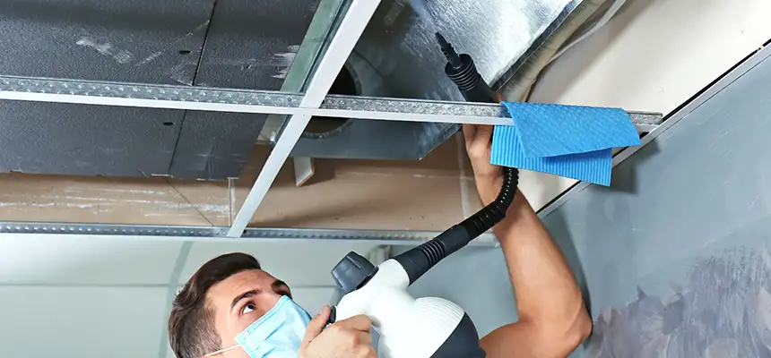 Our Air Duct Rodent Removal Services in Clarksville, IN