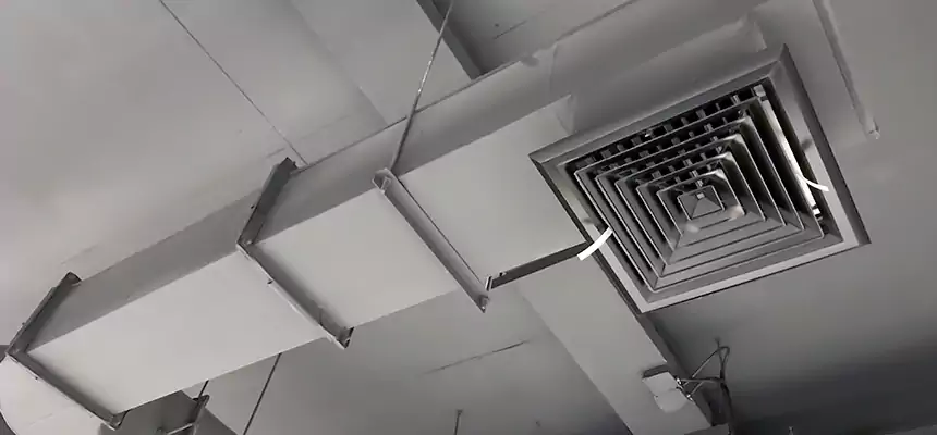 Our Pest Removal From Ducts Services in Clarksville, IN