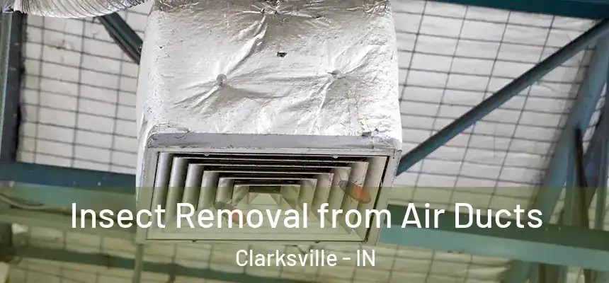  Insect Removal from Air Ducts Clarksville - IN