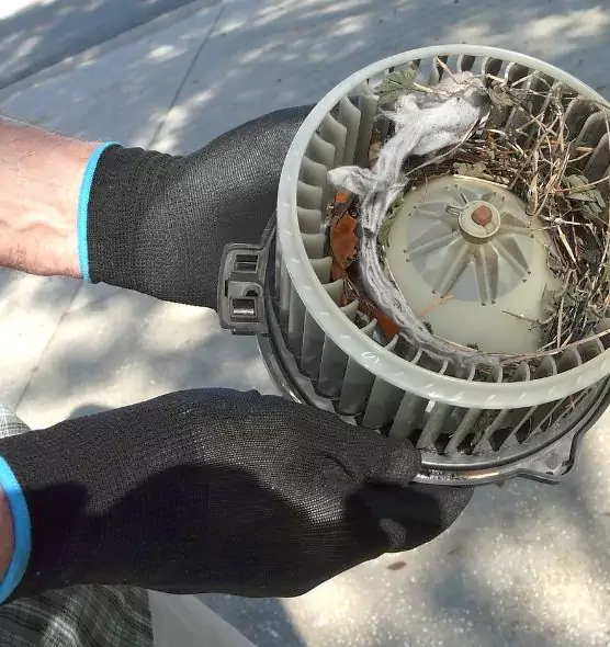 About Air Duct Rat Removal in Clarksville, IN