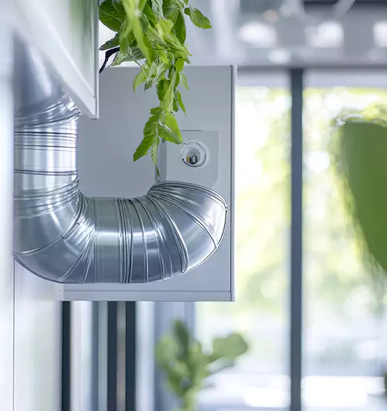 Professional Eco-Safe Dryer Vent Cleaning in Clarksville, IN