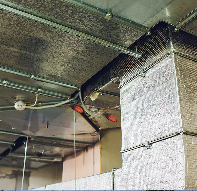 Why Homeowners & Businesses Trust Us in Clarksville, IN?