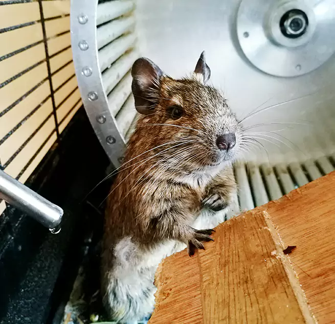 Why Homeowners & Businesses Trust Us Clarksville, IN